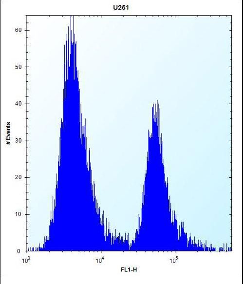 EDR / PEG10 Antibody - PEG10 Antibody flow cytometry of U251 cells (right histogram) compared to a negative control cell (left histogram). FITC-conjugated goat-anti-rabbit secondary antibodies were used for the analysis.