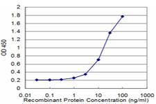EEF1D Antibody - Detection limit for recombinant GST tagged EEF1D is approximately 1 ng/ml as a capture antibody.