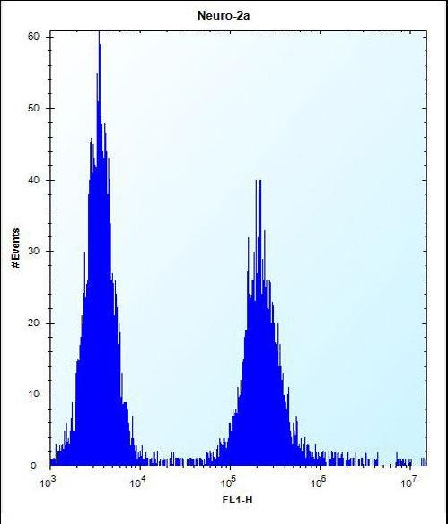 EFCAB7 Antibody - EFCB7 Antibody flow cytometry of Neuro-2a cells (right histogram) compared to a negative control cell (left histogram). FITC-conjugated donkey-anti-rabbit secondary antibodies were used for the analysis.