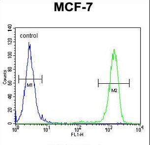 EFHB Antibody - EFHB Antibody flow cytometry of MCF-7 cells (right histogram) compared to a negative control cell (left histogram). FITC-conjugated goat-anti-rabbit secondary antibodies were used for the analysis.
