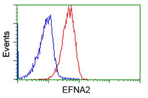 EFNA2 / Ephrin A2 Antibody - Flow cytometry of Jurkat cells, using anti-EFNA2 antibody (Red), compared to a nonspecific negative control antibody (Blue).