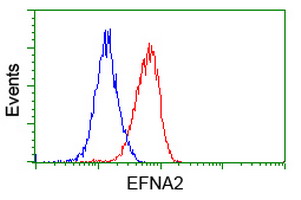 EFNA2 / Ephrin A2 Antibody - Flow cytometry of Jurkat cells, using anti-EFNA2 antibody, (Red), compared to a nonspecific negative control antibody, (Blue).