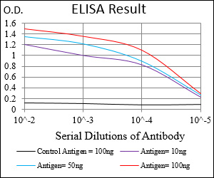 EGFR Antibody - Red: Control Antigen (100ng); Purple: Antigen (10ng); Green: Antigen (50ng); Blue: Antigen (100ng);