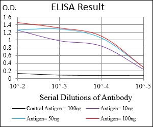 EGFR Antibody - Red: Control Antigen (100ng); Purple: Antigen (10ng); Green: Antigen (50ng); Blue: Antigen (100ng);