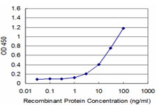 EGFR Antibody - Detection limit for recombinant GST tagged EGFR is approximately 1 ng/ml as a capture antibody.
