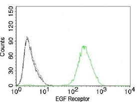 EGFR Antibody - FACS testing of A431 cells with isotype control (gray) and EGFR antibody (green).  This image was taken for the unmodified form of this product. Other forms have not been tested.