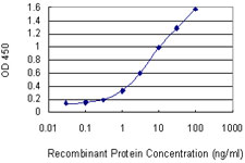 EGR2 Antibody - Detection limit for recombinant GST tagged EGR2 is 0.1 ng/ml as a capture antibody.