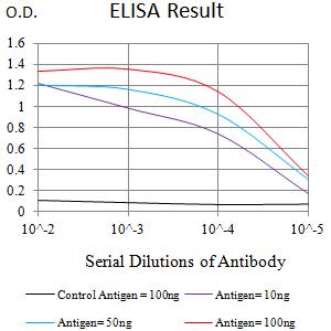 EHMT2 / G9A Antibody - Black line: Control Antigen (100 ng);Purple line: Antigen (10ng); Blue line: Antigen (50 ng); Red line:Antigen (100 ng)