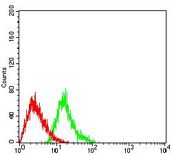 EHMT2 / G9A Antibody - Flow cytometric analysis of HL-60 cells using EHMT2 mouse mAb (green) and negative control (red).