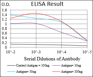 EIF2A / EIF2 Alpha Antibody - Red: Control Antigen (100ng); Purple: Antigen (10ng); Green: Antigen (50ng); Blue: Antigen (100ng);