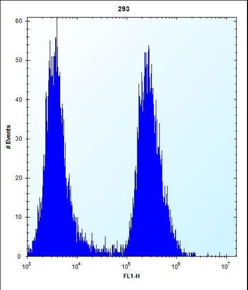 EIF2B1 Antibody - EIF2B1 Antibody flow cytometry of 293 cells (right histogram) compared to a negative control cell (left histogram). FITC-conjugated goat-anti-rabbit secondary antibodies were used for the analysis.