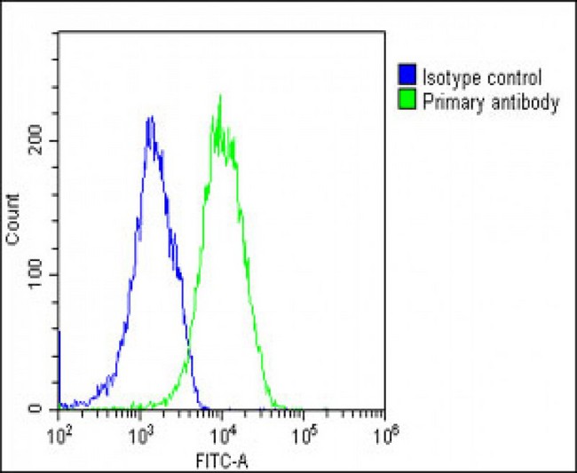 EIF2B3 Antibody - Overlay histogram showing U-2 OS cells stained with EI2BG Antibody (green line). The cells were fixed with 2% paraformaldehyde (10 min) and then permeabilized with 90% methanol for 10 min. The cells were then icubated in 2% bovine serum albumin to block non-specific protein-protein interactions followed by the antibody (EI2BG Antibody, 1:25 dilution) for 60 min at 37°C. The secondary antibody used was Goat-Anti-Mouse IgG, DyLight® 488 Conjugated Highly Cross-Adsorbed (NH174309) at 1/200 dilution for 40 min at 37°C. Isotype control antibody (blue line) was mouse IgG2b (1µg/1x10^6 cells) used under the same conditions. Acquisition of >10, 000 events was performed.