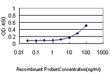 EIF2S1 Antibody - Detection limit for recombinant GST tagged EIF2S1 is approximately 0.3 ng/ml as a capture antibody.