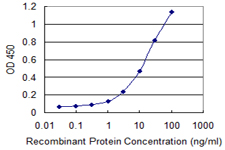 EIF3H / EIF3S3 Antibody - Detection limit for recombinant GST tagged EIF3H is 0.3 ng/ml as a capture antibody.