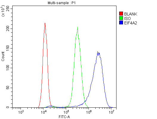 EIF4A2 Antibody - Flow Cytometry analysis of SiHa cells using anti-eIF4A2 antibody. Overlay histogram showing SiHa cells stained with anti-eIF4A2 antibody (Blue line). The cells were blocked with 10% normal goat serum. And then incubated with rabbit anti-eIF4A2 Antibody (1µg/10E6 cells) for 30 min at 20°C. DyLight®488 conjugated goat anti-rabbit IgG (5-10µg/10E6 cells) was used as secondary antibody for 30 minutes at 20°C. Isotype control antibody (Green line) was rabbit IgG (1µg/10E6 cells) used under the same conditions. Unlabelled sample (Red line) was also used as a control.
