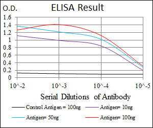 EIF4B Antibody - Red: Control Antigen (100ng); Purple: Antigen (10ng); Green: Antigen (50ng); Blue: Antigen (100ng);