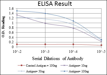 EIF4E Antibody - Red: Control Antigen (100ng); Purple: Antigen (10ng); Green: Antigen (50ng); Blue: Antigen (100ng);