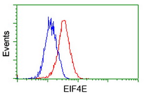 EIF4E Antibody - Flow cytometry of HeLa cells, using anti-EIF4E antibody (Red), compared to a nonspecific negative control antibody (Blue).