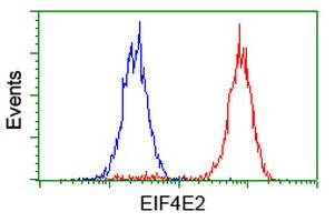 EIF4E2 / IF4e Antibody - Flow cytometry of HeLa cells, using anti-EIF4E2 antibody (Red), compared to a nonspecific negative control antibody (Blue).