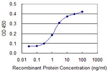 EIF4EBP1 / 4EBP1 Antibody - Detection limit for recombinant GST tagged EIF4EBP1 is 0.1 ng/ml as a capture antibody.