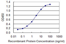 EIF4G1 / EIF4G Antibody - Detection limit for recombinant GST tagged EIF4G1 is 0.03 ng/ml as a capture antibody.
