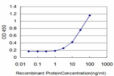 EIF4G3 Antibody - Detection limit for recombinant GST tagged EIF4G3 is approximately 1 ng/ml as a capture antibody.
