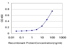 EIF5 Antibody - Detection limit for recombinant GST tagged EIF5 is approximately 1 ng/ml as a capture antibody.