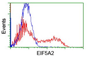 EIF5A2 Antibody - HEK293T cells transfected with either overexpress plasmid (Red) or empty vector control plasmid (Blue) were immunostained by anti-EIF5A2 antibody, and then analyzed by flow cytometry.
