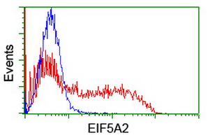 EIF5A2 Antibody - HEK293T cells transfected with either overexpress plasmid (Red) or empty vector control plasmid (Blue) were immunostained by anti-EIF5A2 antibody, and then analyzed by flow cytometry.