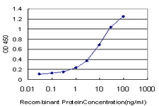 ELF1 Antibody - Detection limit for recombinant GST tagged ELF1 is approximately 1 ng/ml as a capture antibody.