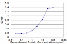 ELK3 / NET Antibody - Detection limit for recombinant GST tagged ELK3 is approximately 0.3 ng/ml as a capture antibody.