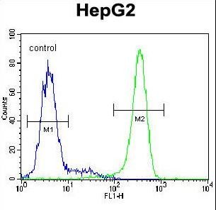 EMC1 Antibody - K0090 Antibody flow cytometry of HepG2 cells (right histogram) compared to a negative control cell (left histogram). FITC-conjugated goat-anti-rabbit secondary antibodies were used for the analysis.