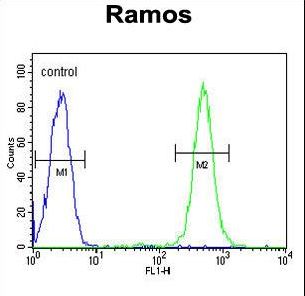 EMC10 Antibody - C19orf63 Antibody flow cytometry of Ramos cells (right histogram) compared to a negative control cell (left histogram). FITC-conjugated goat-anti-rabbit secondary antibodies were used for the analysis.
