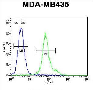 EMC3 Antibody - TM111 Antibody flow cytometry of MDA-MB435 cells (right histogram) compared to a negative control cell (left histogram). FITC-conjugated goat-anti-rabbit secondary antibodies were used for the analysis.
