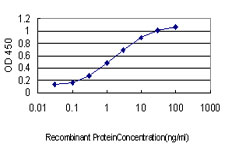 EMD / Emerin Antibody - Detection limit for recombinant GST tagged EMD is approximately 0.03 ng/ml as a capture antibody.