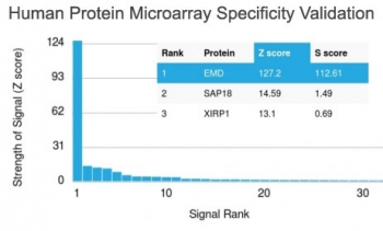 EMD / Emerin Antibody - Analysis of HuProt(TM) microarray containing more than 19,000 full-length human proteins using Emerin antibody (clone EMD/2168). These results demonstrate the foremost specificity of the EMD/2168 mAb. Z- and S- score: The Z-score represents the strength of a signal that an antibody (in combination with a fluorescently-tagged anti-IgG secondary Ab) produces when binding to a particular protein on the HuProt(TM) array. Z-scores are described in units of standard deviations (SDs) above the mean value of all signals generated on that array. If the targets on the HuProt(TM) are arranged in descending order of the Z-score, the S-score is the difference (also in units of SDs) between the Z-scores. The S-score therefore represents the relative target specificity of an Ab to its intended target.