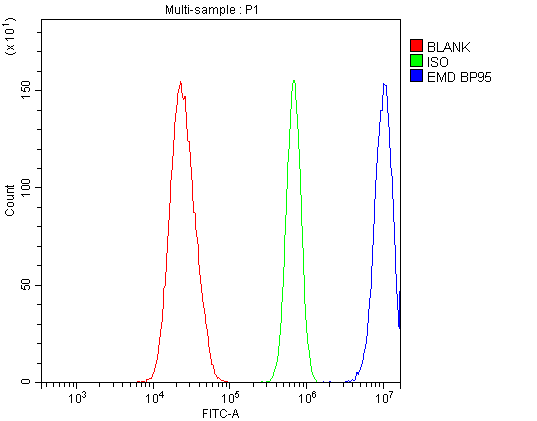 EMD / Emerin Antibody - Flow Cytometry analysis of U20S cells using anti-Emerin antibody. Overlay histogram showing U20S cells stained with anti-Emerin antibody (Blue line). The cells were blocked with 10% normal goat serum. And then incubated with rabbit anti-Emerin Antibody (1µg/10E6 cells) for 30 min at 20°C. DyLight®488 conjugated goat anti-rabbit IgG (5-10µg/10E6 cells) was used as secondary antibody for 30 minutes at 20°C. Isotype control antibody (Green line) was rabbit IgG (1µg/10E6 cells) used under the same conditions. Unlabelled sample (Red line) was also used as a control