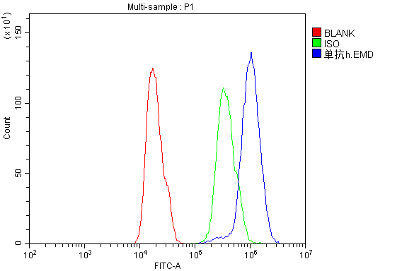 EMD / Emerin Antibody - Flow Cytometry analysis of A431 cells using anti-Emerin antibody. Overlay histogram showing A431 cells stained with anti-Emerin antibody (Blue line). The cells were blocked with 10% normal goat serum. And then incubated with mouse anti-Emerin Antibody (1µg/10E6 cells) for 30 min at 20°C. DyLight®488 conjugated goat anti-mouse IgG (5-10µg/10E6 cells) was used as secondary antibody for 30 minutes at 20°C. Isotype control antibody (Green line) was mouse IgG (1µg/10E6 cells) used under the same conditions. Unlabelled sample (Red line) was also used as a control.