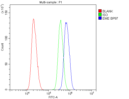 EME1 Antibody - Flow Cytometry analysis of U20S cells using anti-EME1 antibody. Overlay histogram showing U20S cells stained with anti-EME1 antibody (Blue line). The cells were blocked with 10% normal goat serum. And then incubated with rabbit anti-EME1 Antibody (1µg/10E6 cells) for 30 min at 20°C. DyLight®488 conjugated goat anti-rabbit IgG (5-10µg/10E6 cells) was used as secondary antibody for 30 minutes at 20°C. Isotype control antibody (Green line) was rabbit IgG (1µg/10E6 cells) used under the same conditions. Unlabelled sample (Red line) was also used as a control.