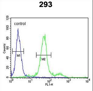 Endostatin Antibody - COL18A1 Antibody flow cytometry of 293 cells (right histogram) compared to a negative control cell (left histogram). FITC-conjugated goat-anti-rabbit secondary antibodies were used for the analysis.