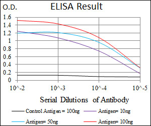 ENO2 / NSE Antibody - Red: Control Antigen (100ng); Purple: Antigen (10ng); Green: Antigen (50ng); Blue: Antigen (100ng);