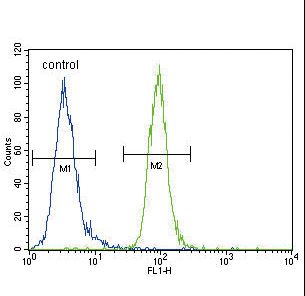 ENPP2 / Autotaxin Antibody - ENPP2 Antibody flow cytometry of MDA-MB435 cells (right histogram) compared to a negative control cell (left histogram). FITC-conjugated goat-anti-rabbit secondary antibodies were used for the analysis.