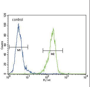 ENPP2 / Autotaxin Antibody - ENPP2 Antibody (Center K416) flow cytometry of MDA-MB435 cells (right histogram) compared to a negative control cell (left histogram). FITC-conjugated goat-anti-rabbit secondary antibodies were used for the analysis.
