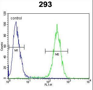 ENSA Antibody - ENSA Antibody flow cytometry of 293 cells (right histogram) compared to a negative control cell (left histogram). FITC-conjugated goat-anti-rabbit secondary antibodies were used for the analysis.