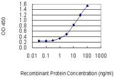 ENTPD3 Antibody - Detection limit for recombinant GST tagged ENTPD3 is 0.3 ng/ml as a capture antibody.