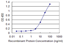Eomesodermin / EOMES Antibody - Detection limit for recombinant GST tagged EOMES is 1 ng/ml as a capture antibody.