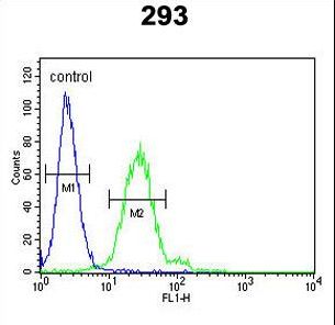 EPCAM Antibody - EpCAM Antibody flow cytometry of 293 cells (right histogram) compared to a negative control cell (left histogram). FITC-conjugated goat-anti-rabbit secondary antibodies were used for the analysis.