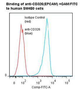 EPCAM Antibody - Flow cytometry of TACSTD1 / EPCAM antibody
