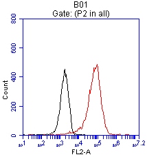 EPCAM Antibody - Flow cytometric analysis of live HT29 cells, using anti-EPCAM antibody  clone UMAB131 at 1:100, Red), compared to IgG1 isotype control. (Black).
