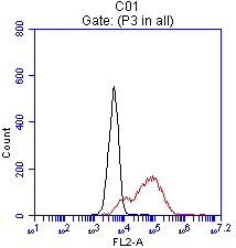 EPCAM Antibody - Flow cytometric analysis of live OVCAR-4 cells, using anti-EPCAM antibody  clone UMAB131 at 1:100, Red), compared to IgG1 isotype control. (Black).